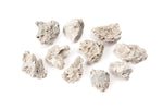 Limestone Fossil, 10/pk