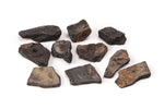 Shale, 10/pk