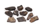 Arbor Scientific Shale, 10/pk